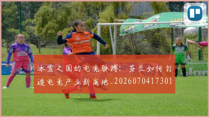 冰雪之国的电竞脉搏:芬兰如何打造电竞产业新高地_20260704173017