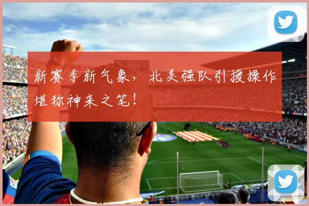 新赛季新气象,北美强队引援操作堪称神来之笔!